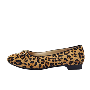 Flat/CS02C202503-2